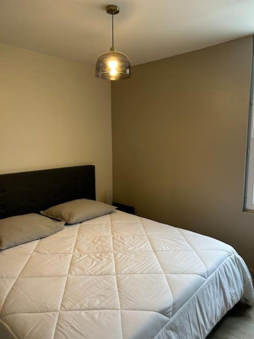 Grand Appartement De Standing Saint-Dizier Esterno foto